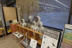 野鳥の展示
