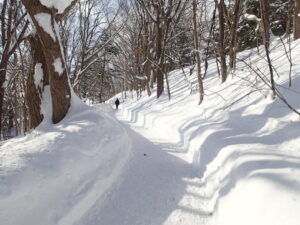 両脇が雪の壁になっている雪道
