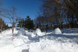 森の中にいくつの出来たイグルー