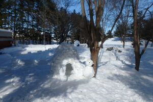 イグルーと雪ダルマ