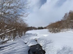 湿原から望む池