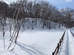 雪の積もった湿原の様子