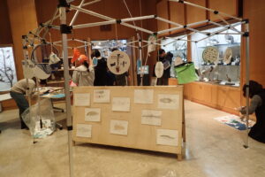 水生生物のスケッチ