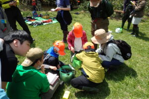 さかなをバケツに入れる子供たち