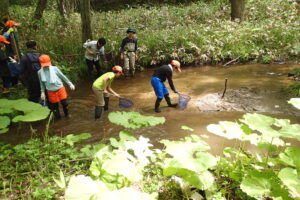 川で調査をする子どもたち