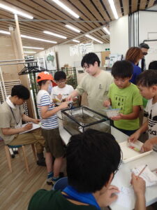 水槽の中の魚をすくう子どもたち