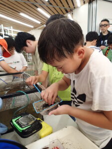 魚をすくう子ども