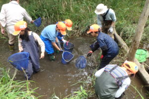 川でさかなを網に入れる子供たち