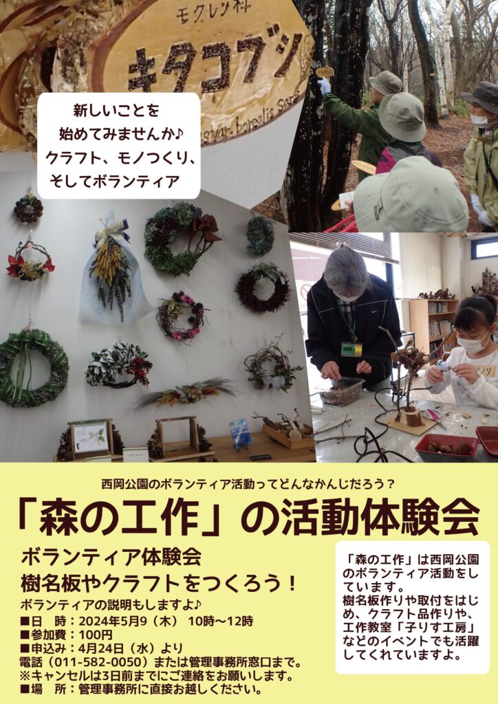 ボランティア体験チラシ