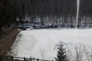 凍っている池の様子