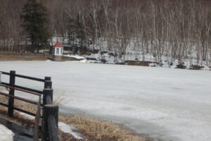 凍った池と赤い屋根の取水塔