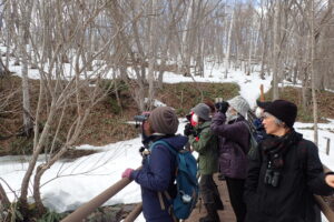 双眼鏡で野鳥の観察をする参加者