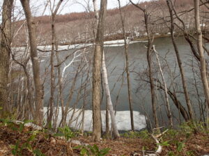 氷が融けて水面が見え始めた池