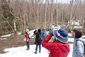 野鳥観察をする参加者