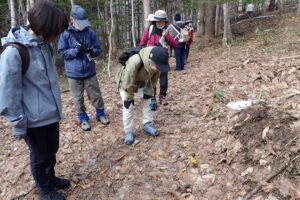植物の観察をする参加者