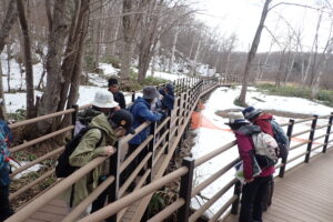 川をのぞく参加者