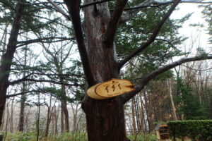 樹に取り付けられた樹名板