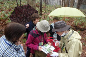 図鑑を見ながら樹種の確認をしている姿