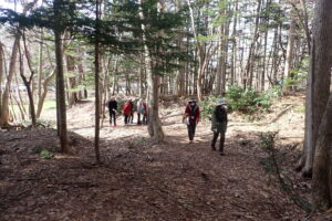 園内を散策する皆さん