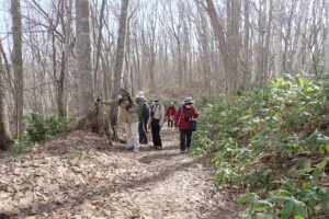 園内を散策する皆さん