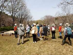 樹木の花を観察する参加者