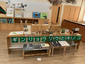 ギンリョウソウの展示の様子