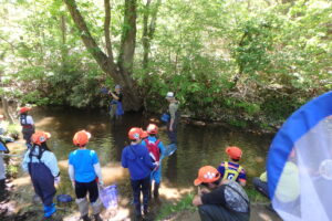 川で調査をする子どもたち