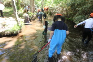 川で調査をする子どもたち