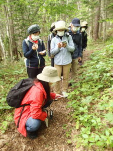 植物の観察とメモを取る参加者の皆さん