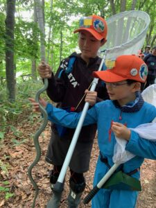 ヘビをつかむ少年