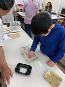 ヤゴを見る子供