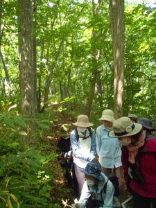 植物を観察する参加者