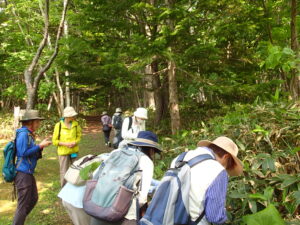 散策する参加者