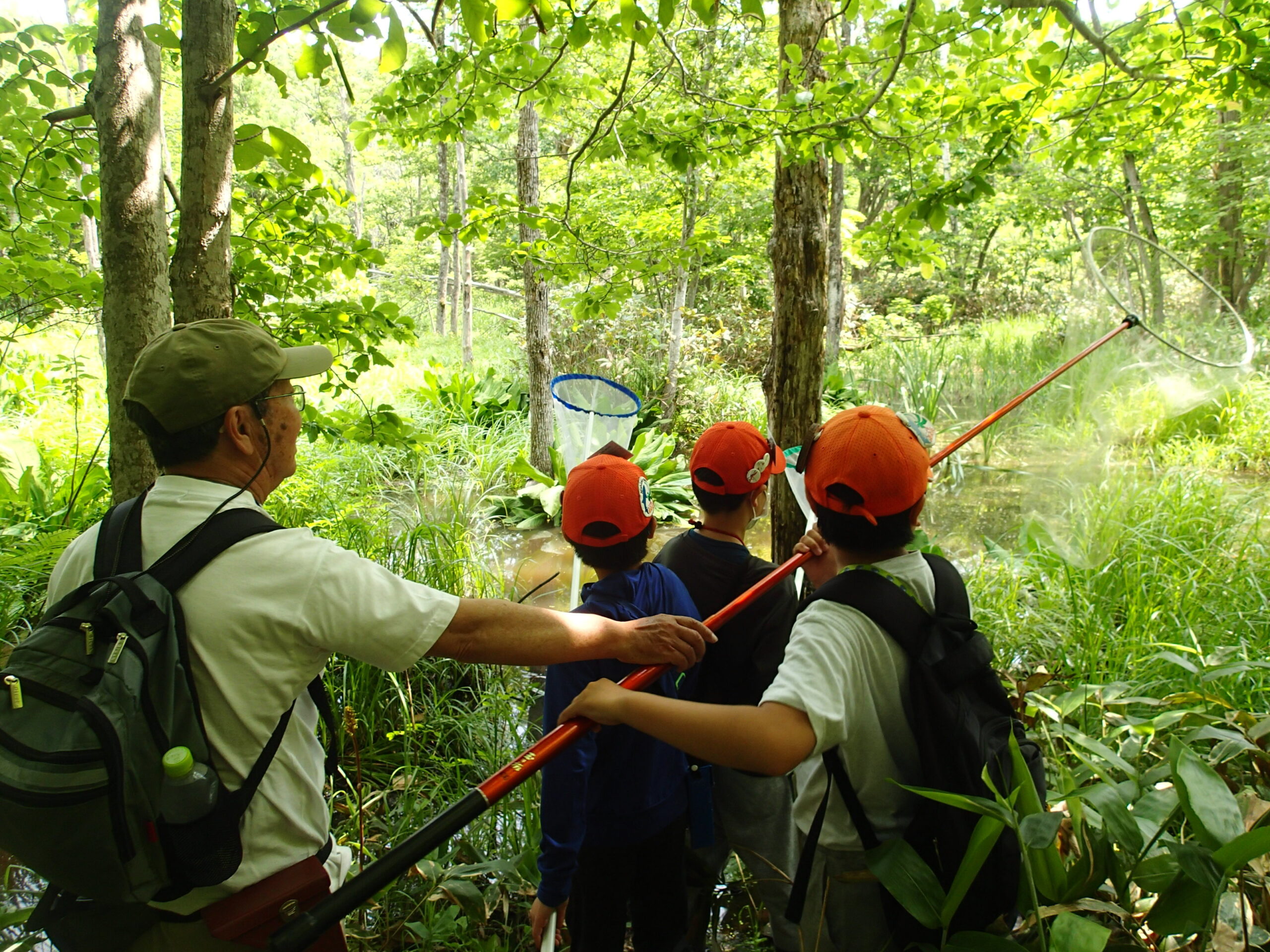 トンボ採りする子どもたち