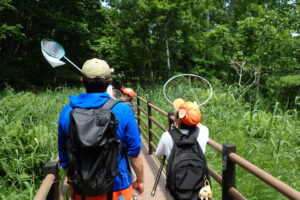 トンボ採りする子どもたち