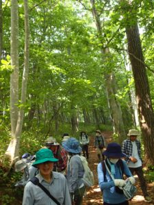 森の中で散策する参加者の皆さん
