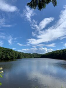 青空の映る池の写真