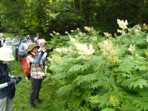 ホザキナナカマドを観察する参加者