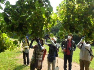 写真を撮っている参加者