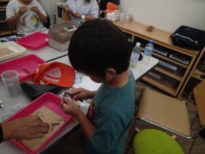 トンボの標本を作る子ども