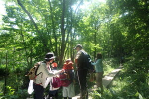 森の中で活動するヤンマ団と保護者