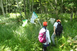 網を持った子ども