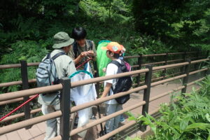 湿原の木道で活動するヤンマ団とトンボの先生