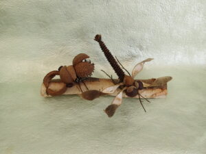 クワガタとトンボのクラフト