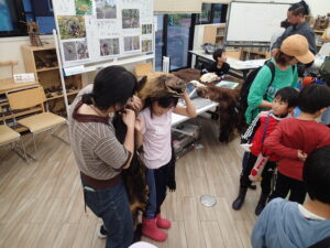 ヒグマの毛皮を着せてあげる講師