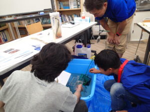 水槽の中のヤツメウナギについてを聞く子ども