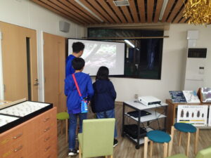 ホタルの展示を見る子供