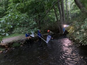 薄暗い川でトンボ採りをするヤンマ団
