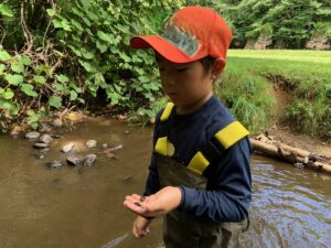 手にヤゴをのせた男の子