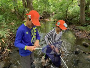 川の中でたも網をの中をのぞく男の子